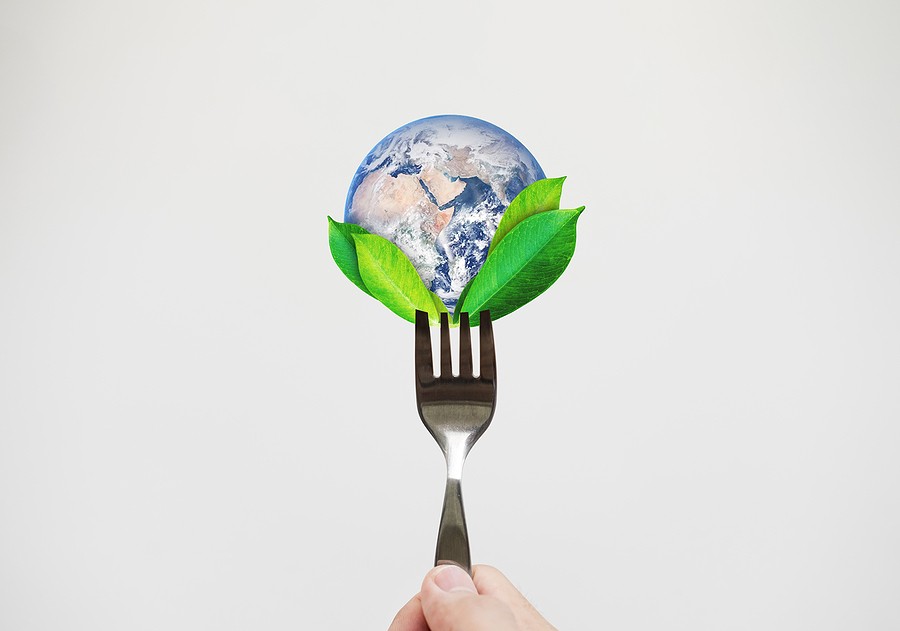 sustainable food