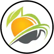 Fruit and Vegetables icon