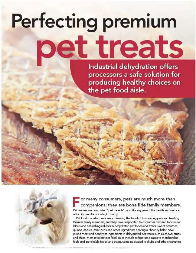 Thumbnail: Perfecting Premium Pet Treats Article