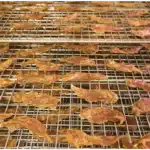 Pet Treats on an Industrial Dehydrator screen